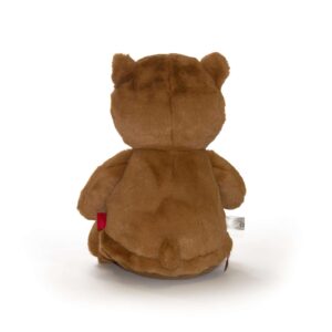 Bamse med navn og dato bakside